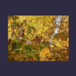 2012-10-20_Fall_AQUILA (099)b.JPG